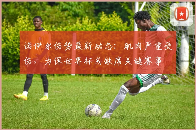 诺伊尔伤势最新动态：肌肉严重受伤，为保世界杯或缺席关键赛事